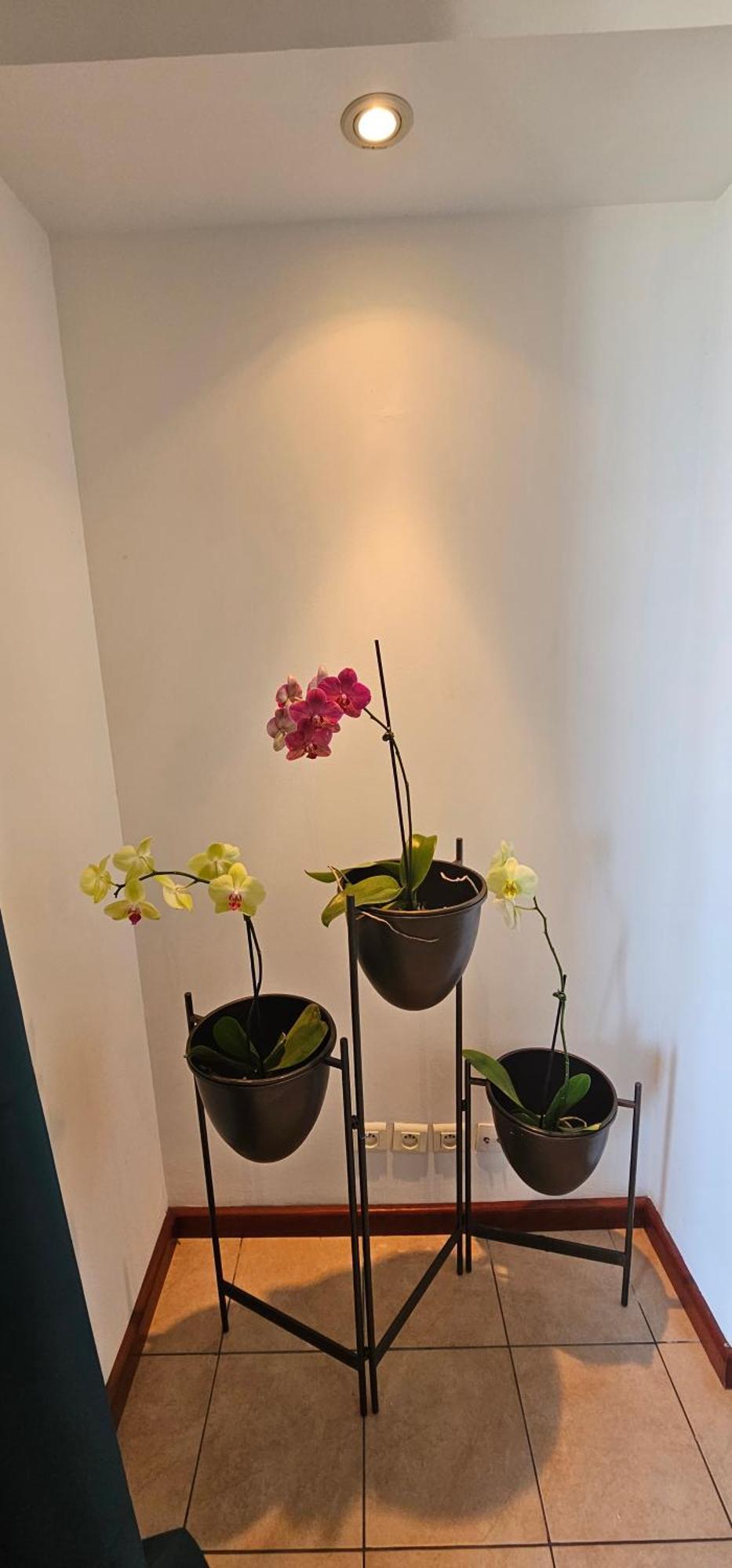 생피에르 Chez Gerard 아파트 외부 사진